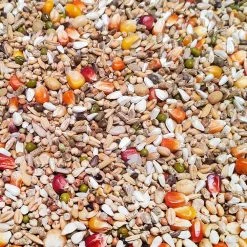 Vanrobaeys Nr.53 Sport Ultra Pro - Revolution 20kg