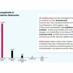 Versele Master Witwer 20kg 7 Versele Master Witwer 20kg -Vanrobaeys Verkaufe antioxidantien 21
