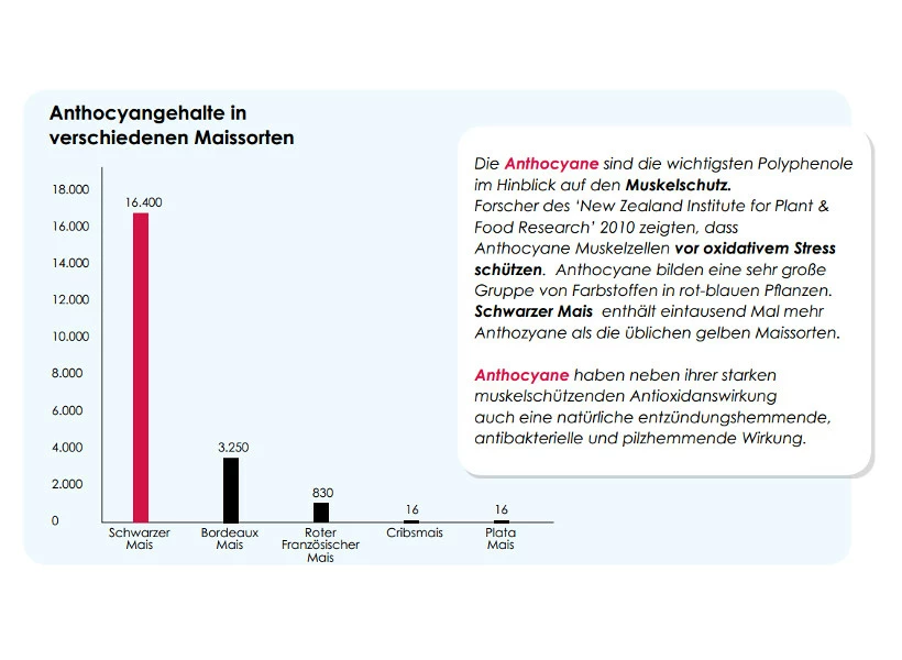 Versele Master Witwer 20kg 4 Versele Master Witwer 20kg – Bild 4