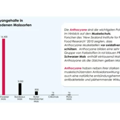 Versele Superstar Plus IC+ Black Label 20kg -Vanrobaeys Verkaufe antioxidantien 214