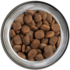 Belcando Adult Power 2er-Pack 25kg -Vanrobaeys Verkaufe belcando napf adult power 800x8000