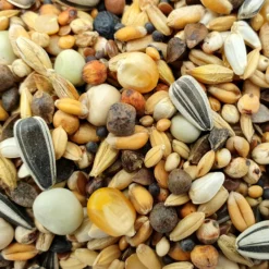 Gladen Rassetaubenfutter Usbeken 25kg