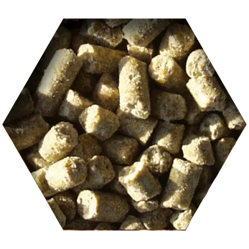 Beyers Goldcorn Koopman 2,5kg 2 Beyers Goldcorn Koopman 2,5kg – Bild 2