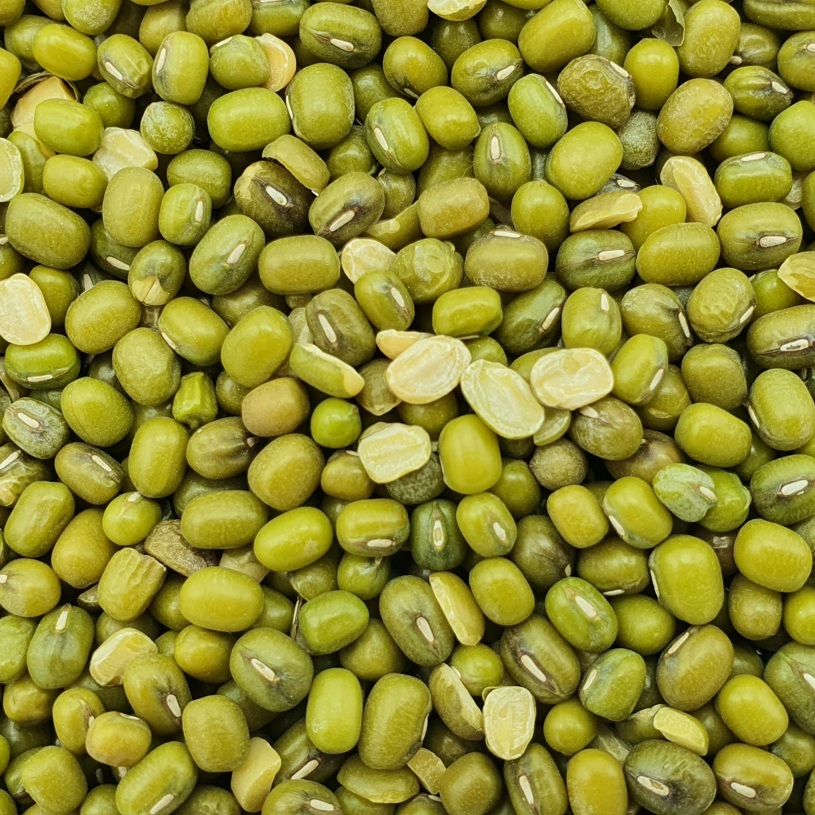 Katjangbohnen - Vanrobaeys 25kg 1 Katjangbohnen - Vanrobaeys 25kg