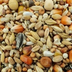 Matador Jungtauben H.O.T. 25kg