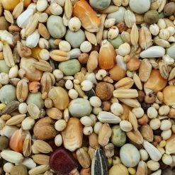 Spinne Zucht- & Reise Forte 25kg