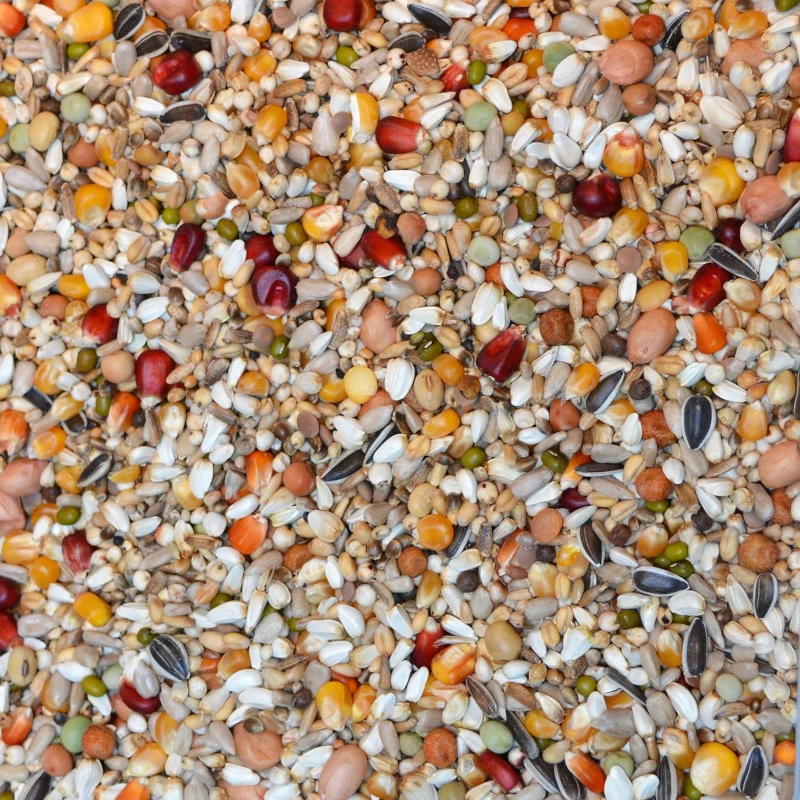 Vanrobaeys Nr.816 Clique Golden Racing 20kg 1 Vanrobaeys Nr.816 Clique Golden Racing 20kg