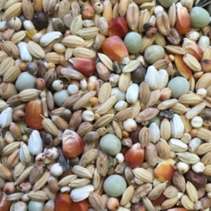 Spinne Sander Reise Leicht 25kg 1 Spinne Sander Reise Leicht 25kg