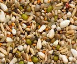 Beyers Premium Sämereien Exclusiv 20Kg