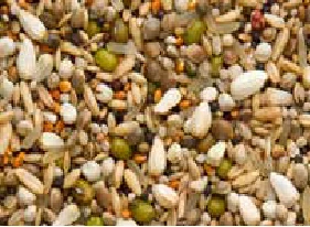 Beyers Premium Sämereien Exclusiv 20Kg 1 Beyers Premium Sämereien Exclusiv 20Kg