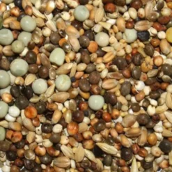 Spinne Rasse K - Kurzschnäbler 25kg