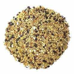 Spinne SoMoDiMi - Power Sprint 25kg