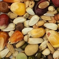 Vanrobaeys Nr.1968 Taubenfuttermischung 25kg