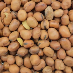 Vanrobaeys Taubenbohnen 25kg