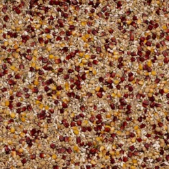 Beyers Premium Enzymix Power 25kg