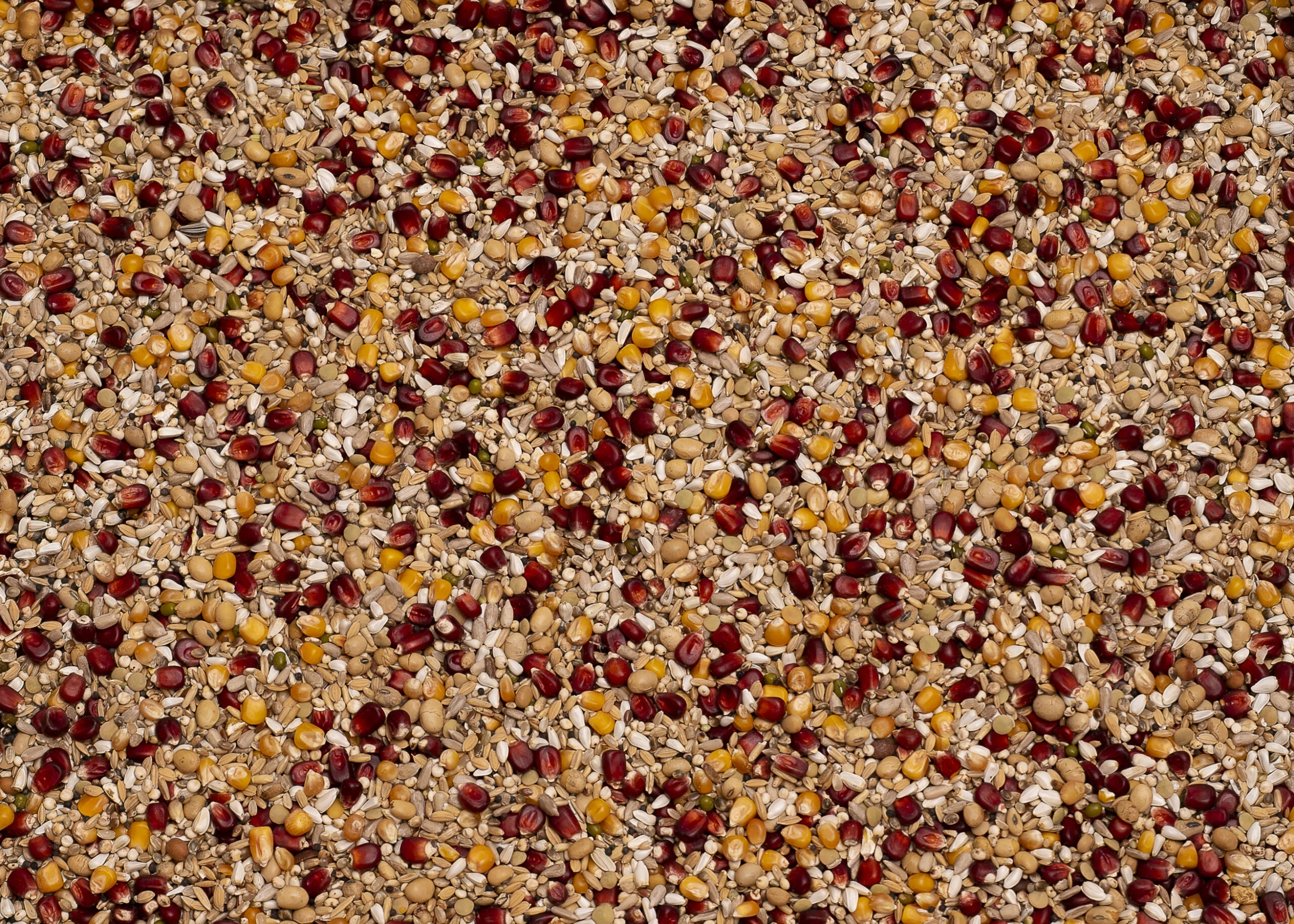 Beyers Premium Enzymix Power 25kg 1 Beyers Premium Enzymix Power 25kg