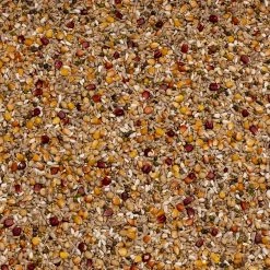 Beyers Galaxy Sport Energy 20kg